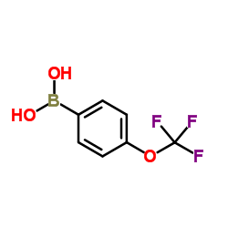 4-Trifluoromethoxyphenylboronic acid