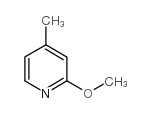  2-Methoxy-4-methylpyridine