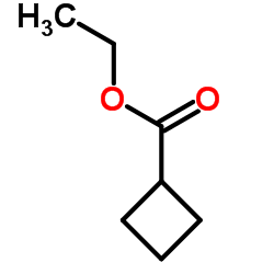 Ethyl Cyclobutanecarboxylate