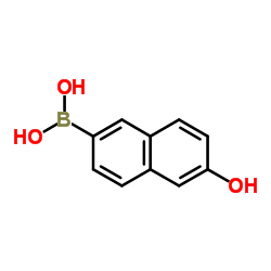 (6-Hydroxynaphthalen-2-yl)boronic acid 第1张