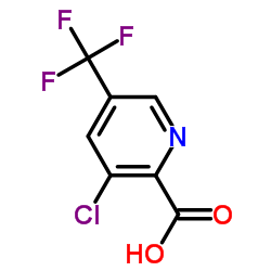 3-Chloro-5-(trifluoromethyl)picolinic acid 第1张