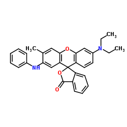 2'-anilino-6'-(diethylamino)-3'-methylspiro[2-benzofuran-3,9'-xanthene]-1-one