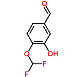 CAS:151103-08-1 4-Difluoromethoxy-3-Hydroxybenzaldehyde 第1张