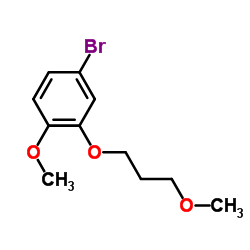 4-Bromo-1-methoxy-2-(3-methoxypropoxy)benzene