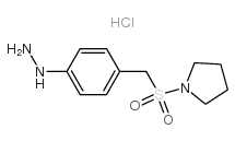 [4-(pyrrolidin-1-ylsulfonylmethyl)phenyl]hydrazine,hydrochloride