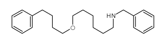 N-benzyl-6-(4-phenylbutoxy)hexan-1-amine