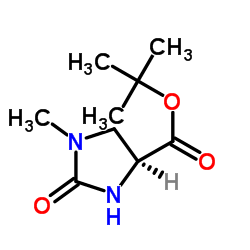 tert-butyl (4S)-1-methyl-2-oxoimidazolidine-4-carboxylate 第1张