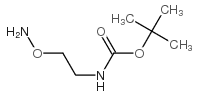 Carbamic acid,N-[2-(aminooxy)ethyl]-, 1,1-dimethylethyl ester 第1张