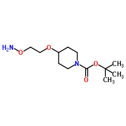 4-[2-(Aminooxy)ethoxy]-1-piperidinecarboxylic acid 1,1-dimethylethyl ester 第1张