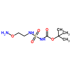 N-[[[2-(Aminooxy)ethyl]amino]sulfonyl]carbamic acid 1,1-dimethylethyl ester