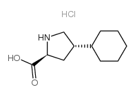 CAS:90657-55-9 Trans-4-Cyclohexyl-P-prolinehydrochloride 第1张