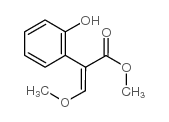 methyl (E)-2-(2-hydroxyphenyl)-3-methoxyprop-2-enoate 第1张