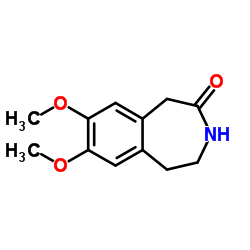 CAS:20925-64-8 7,8-Dimethoxy-1,3,4,5-tetrahydro-2H-benzazepin-2-one 第1张