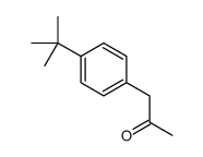1-(4-tert-butylphenyl)propan-2-one