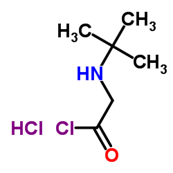 CAS:915725-52-9 2-[(tert-Butyl)amino]acetylchloridehydrochloride 第1张