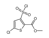 methyl 5-chloro-3-(chlorosulfonyl)-thiophene-2-carboxylate 第1张