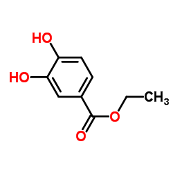 Ethyl 3,4-dihydroxybenzoate