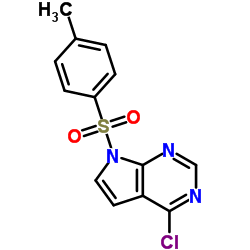 4-Chloro-7-tosyl-7H-pyrrolo[2,3-d]pyrimidine 第1张