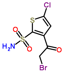 CAS:160982-11-6 3-(Bromoacetyl)-5-chlorothiophene-2-sulfonamide 第1张