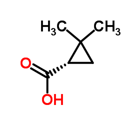 (S)-2,2-Dimethylcyclopropanecarboxylic acid 第1张