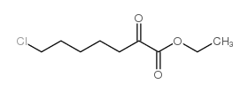 Ethyl 7-chloro-2-oxoheptanoate