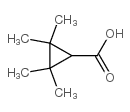 2,2,3,3-tetramethylcyclopropanecarboxylic acid