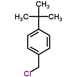 1-tert-butyl-4-(chloromethyl)benzene