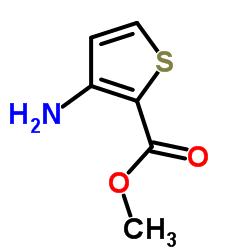 methyl 3-aminothiophene-2-carboxylate