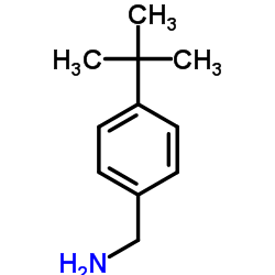 4-tert-Butylbenzylamine