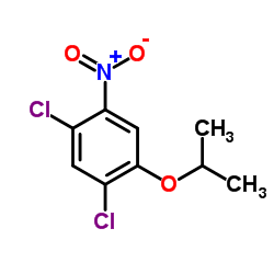 1,5-dichloro-2-nitro-4-propan-2-yloxybenzene