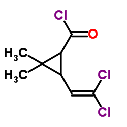 3-(2,2-dichloroethenyl)-2,2-dimethylcyclopropane-1-carbonyl chloride