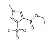 ethyl 3-chlorosulfonyl-1-methylpyrazole-4-carboxylate