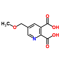 5-(Methoxymethyl)pyridine-2,3-dicarboxylic acid manufacturer in India China