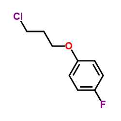 1-(3-Chloropropoxy)-4-fluorobenzene 第1张