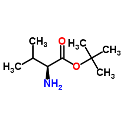 tert-Butyl L-valinate 第1张