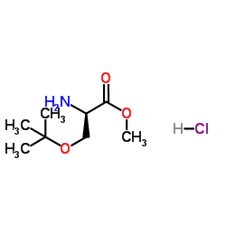 O-tert-Butyl-L-serine methyl ester hydrochloride 第1张