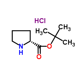 D-Proline tert-Butyl Ester Hydrochloride 第1张