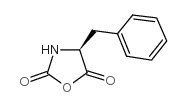 (4S)-4-benzyl-1,3-oxazolidine-2,5-dione