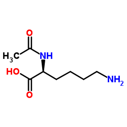 N2-acetyl-L-lysine