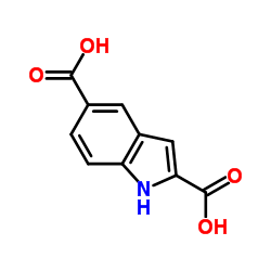 CAS:117140-77-9 ETHYL-O-FORMATE 第1张