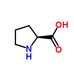 DL-Proline