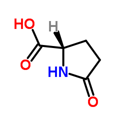 D-Pyroglutamic acid 第1张