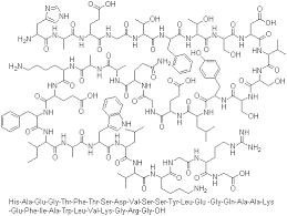 Human GLP-1 (7-37)