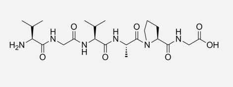 Human Oligopeptide-20