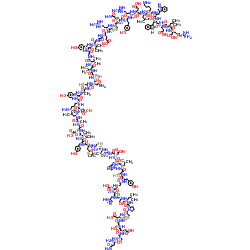 Epidermal Growth Factor