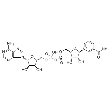 beta-Diphosphopyridine nucleotide CAS:53-84-9 第1张