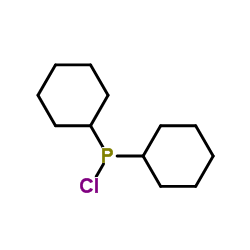 Dicyclohexylchlorophosphine 第1张