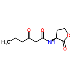 N-(Ketocaproyl)-D,L-homoserine lactone 第1张