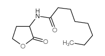 n-octanoyl-dl-homoserine lactone