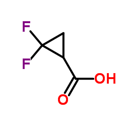 2,2-Difluorocyclopropanecarboxylic acid CAS:107873-03-0 第1张